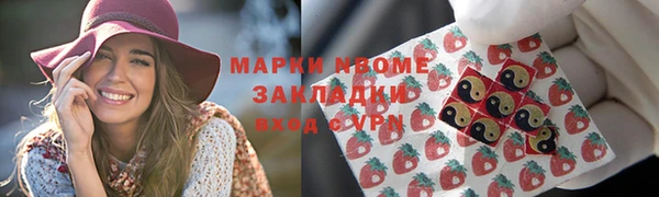 стафф Коряжма