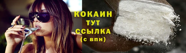 стафф Коряжма