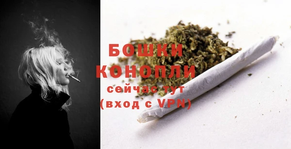 стафф Коряжма