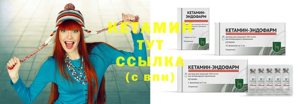 стафф Коряжма