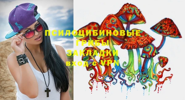 гашик Козловка