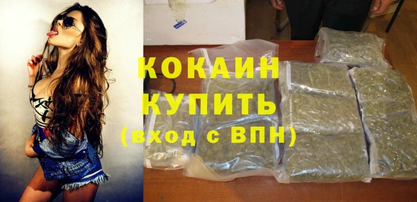 стафф Коряжма