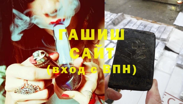 гашик Козловка