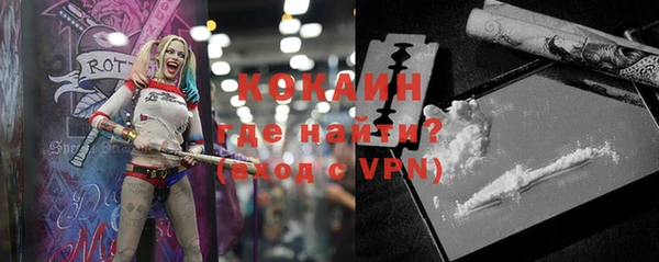 гашик Козловка