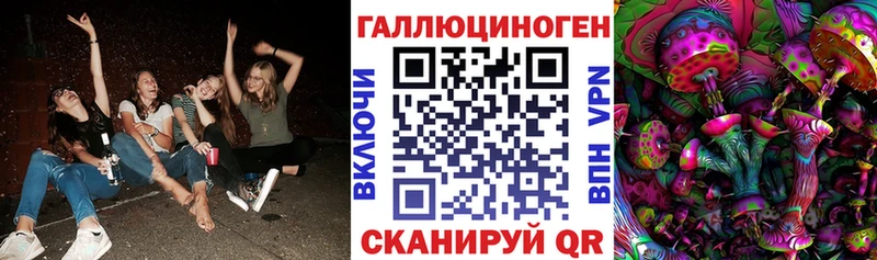 Галлюциногенные грибы Psilocybine cubensis  Купить где  Верещагино 